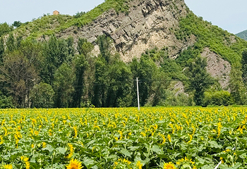 百里山水画廊第 63 张图片