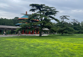天坛公园第 308 张图片