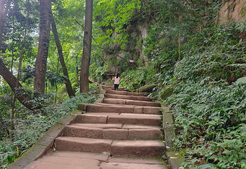 青城山第 404 张图片