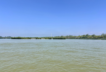 沙湖生态旅游区第 150 张图片