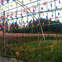 天荷旅游度假区