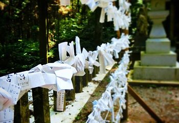 上色见熊野座神社第 18 张图片