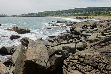 种差海岸第 26 张图片