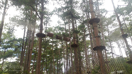 Datanla High Rope Course第 4 张图片