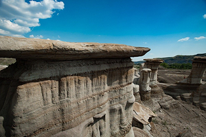 The Hoodoos