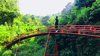 Thien Phu Lam Ecological Park第 1 张图片