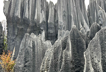 石林风景区第 206 张图片