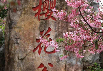 狐尾山公园第 20 张图片
