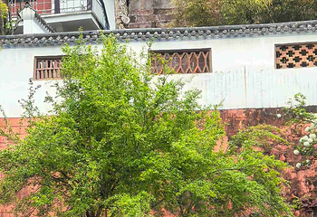 东坡赤壁第 11 张图片