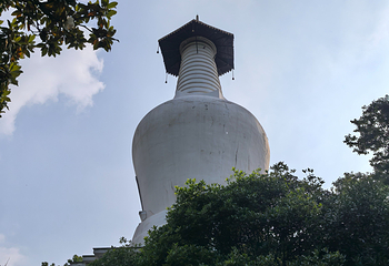 瘦西湖第 386 张图片