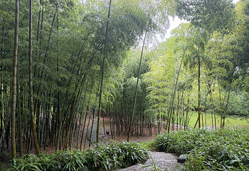 虎丘山风景名胜区第 154 张图片