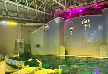 济州岛Aqua Planet水族馆第 34 张图片