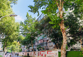 四川大学(望江校区)第 57 张图片
