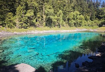 九寨沟风景区第 442 张图片