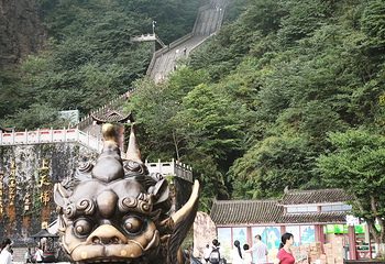 天门山国家森林公园第 506 张图片