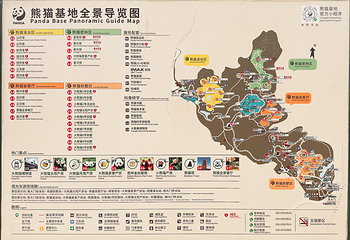 成都大熊猫繁育研究基地第 191 张图片