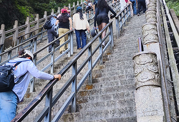 天门山国家森林公园第 503 张图片