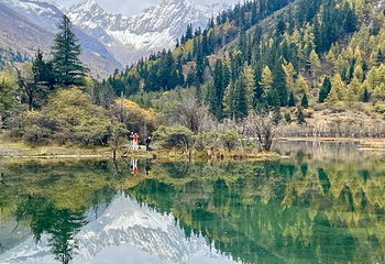 四姑娘山双桥沟景区第 63 张图片