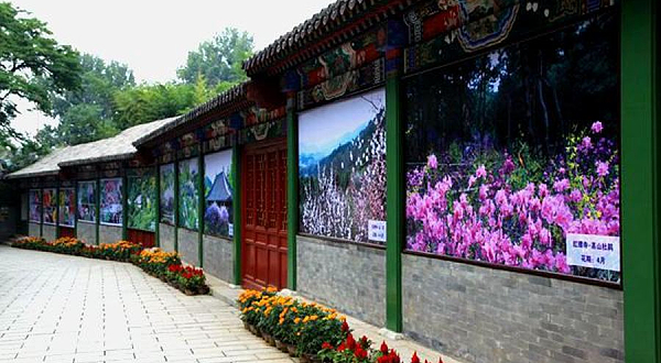 红螺寺-文化长廊