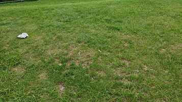 青岚湖湿地公园-瞭望台