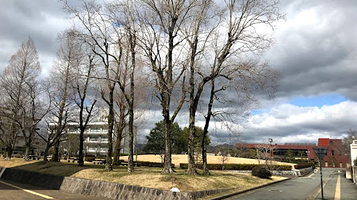 山口大学埋蔵文化财资料馆