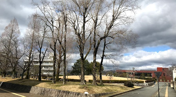 山口大学埋蔵文化财资料馆