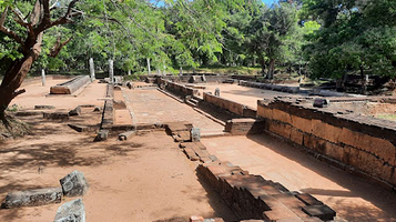 Elephant Pond ඇත් පොකුණ