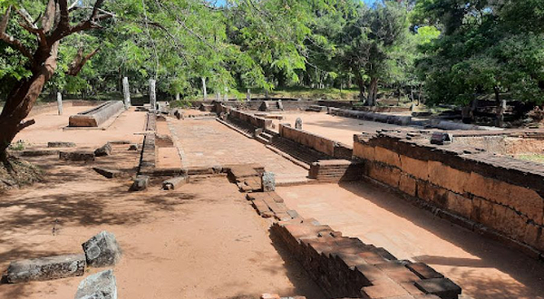 Elephant Pond ඇත් පොකුණ