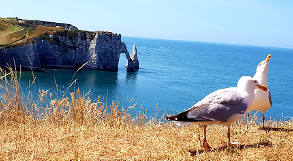 Aiguille d'Etretat