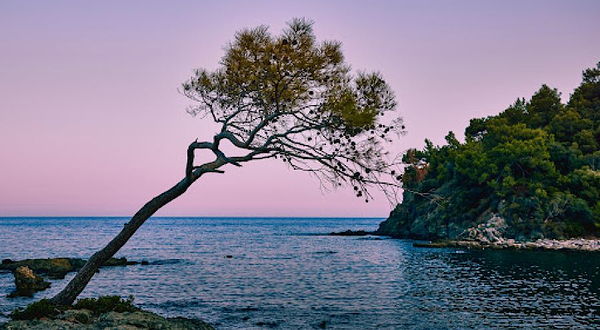 法塞利斯古剧场