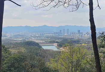 大奇山国家森林公园第 21 张图片