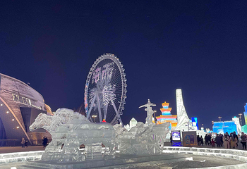 哈尔滨冰雪大世界第 519 张图片