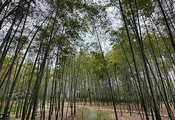 虎丘山风景名胜区第 197 张图片