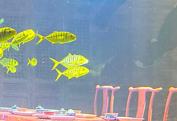 上海长风海洋世界第 52 张图片