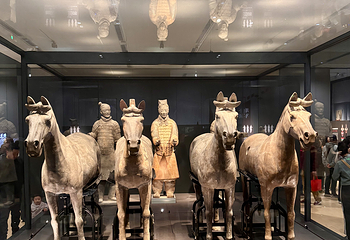 秦始皇帝陵博物院(兵马俑)第 173 张图片