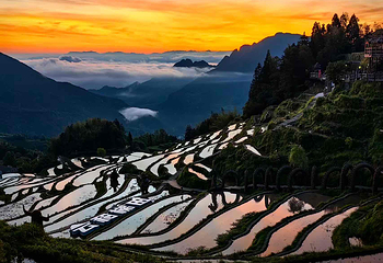 云和梯田景区第 25 张图片