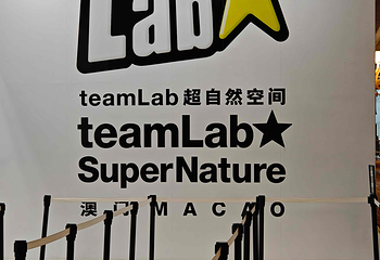 澳门teamLab超自然空间第 36 张图片