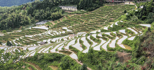 云和梯田景区第 81 张图片