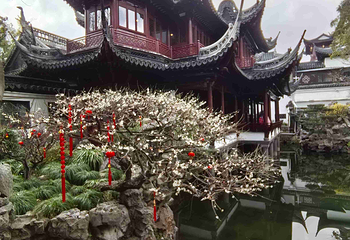 豫园第 146 张图片