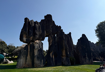 石林风景区第 242 张图片