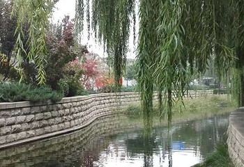 什刹海风景区第 287 张图片