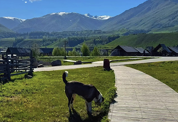 禾木风景区第 204 张图片