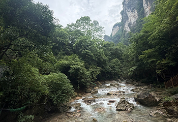 张家界大峡谷第 140 张图片