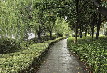 徐州云龙湖风景区第 29 张图片