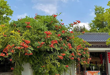 花都温泉度假区第 41 张图片