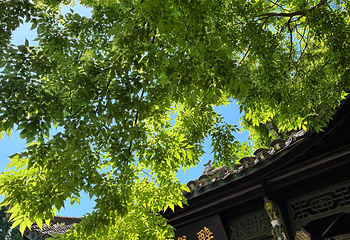 琅琊山景区第 52 张图片