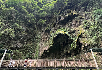 张家界大峡谷第 126 张图片
