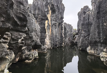 石林风景区第 255 张图片