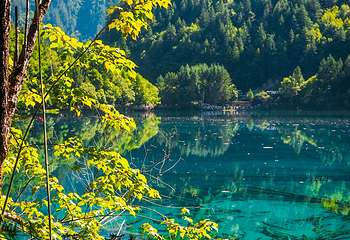 九寨沟风景区第 170 张图片