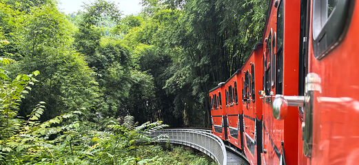 川西竹海景区第 15 张图片
